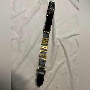 Harley Black Adjustable Leather Belt with Gold Willie G Accents
